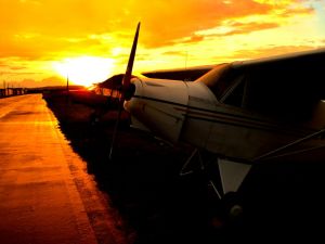 avioes crepusculo
